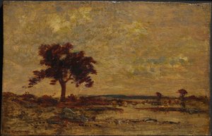 Marais, non daté - Theodore Rousseau