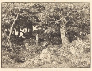 Chênes rocheux - Theodore Rousseau