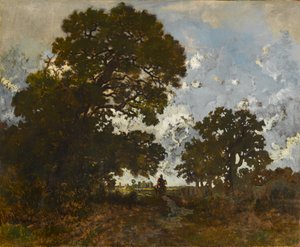 Le Hêtre dans la Forêt de L