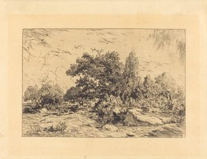 Vue du Plateau de Bellecroix - Theodore Rousseau