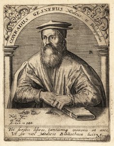 Conrad Gessner, médecin suisse - Theodore de Bry
