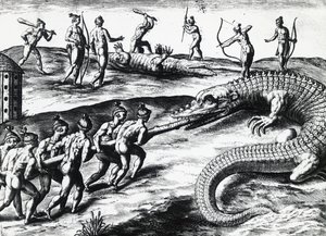 Chasse au crocodile en Floride, d