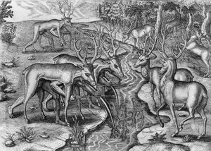 Indiens de Floride chassant, déguisés en cerfs, États-Unis d
