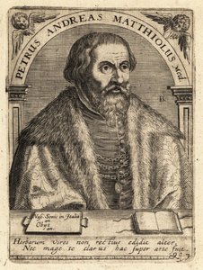 Pietro Andrea Gregorio Mattioli, médecin italien - Theodore de Bry
