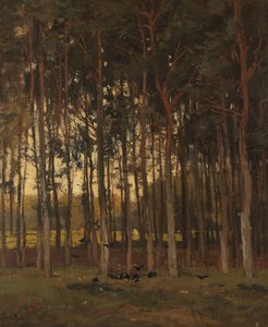 Vue dans les bois - Theophile de Bock