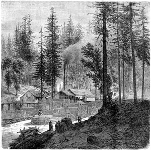 Scierie, Californie - Theroud