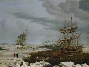 Baleiniers de Hull dans l