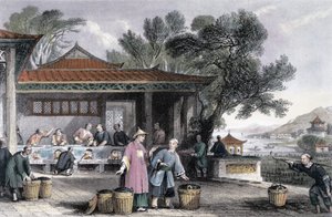 La Culture et la préparation du thé, Chine, 1843 - Thomas Allom