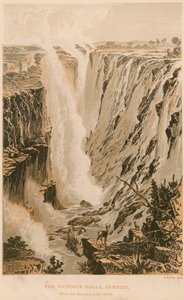Les chutes Victoria