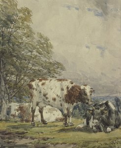 Étude de bétail, 19ème siècle - Thomas Baker