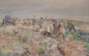 Dans le champ de pommes de terre - Thomas Barclay Hennell