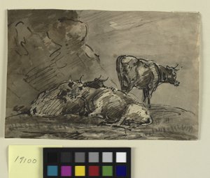 Trois vaches sur une falaise