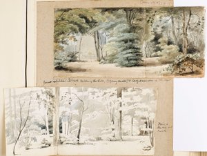 Partie du terrain à Merton avec une tonnelle et des arbres