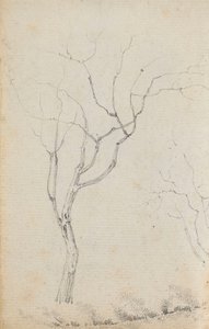 Étude de petits arbres avec des arbustes bas en dessous (verso)