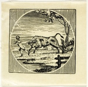 Illustration de livre - Thomas Bewick