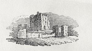 Ruines du château de 