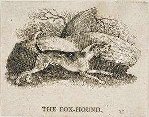 Chien de chasse - Thomas Bewick
