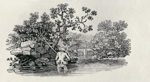 Pêcher un saumon de 