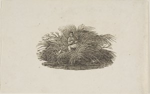 Cul-de-lampe : Homme dans un buisson - Thomas Bewick