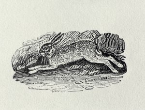 Le Lièvre de 