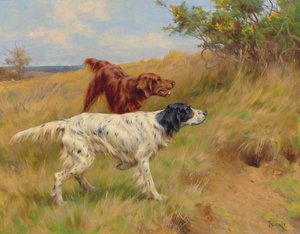 Setters - Thomas Blinks