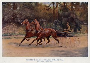 Paire de trotteurs de Walter Winans, Esquire