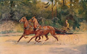 Paire de trotteurs de Walter Winans, 1900