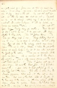 Journaux de Thomas Butler Gunn - Thomas Butler Gunn