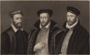 Cardinal de Chatillon, Amiral Coligni et d