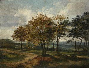 Paysage boisé