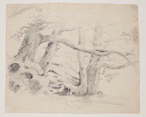 Chênes et pruches - Thomas Cole