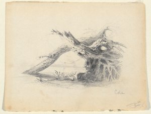 Esquisse de deux arbres morts - Thomas Cole