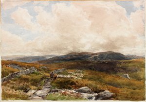 Scène de lande