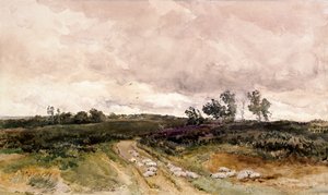 Scène de lande