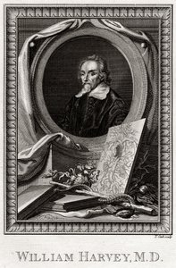 William Harvey, 1777 - Thomas Cook