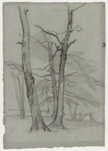 Étude de Paysage avec Arbres
