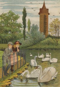 Paris : les cygnes - Thomas Crane