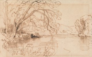 Un arbre surplombant une rivière