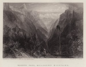 Col de Kooner, montagnes de Neilgherri - Thomas Creswick