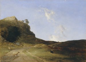 Paysage de lande