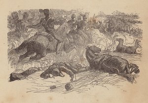 La Charge de la Brigade Légère - Thomas Dalziel