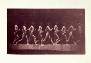 Photographies de la roue de Marey de George Reynolds - Thomas Eakins