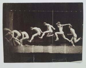 Photographies de la roue de Marey d