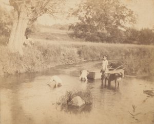 Trois enfants et un chien jouant dans le ruisseau - Thomas Eakins