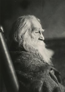 Walt Whitman à Camden, N.J., vers 1891