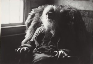 Walt Whitman à Camden, N.J., vers 1891