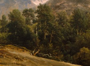 Forêt de Romsdal - Thomas Fearnley