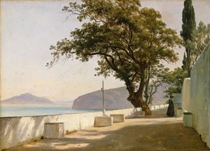 Terrasse avec chêne, Sorrente