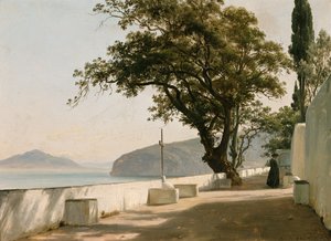 Terrasse avec chêne vert, Sorrente