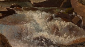Eaux vives. Étude de la nature - Thomas Fearnley